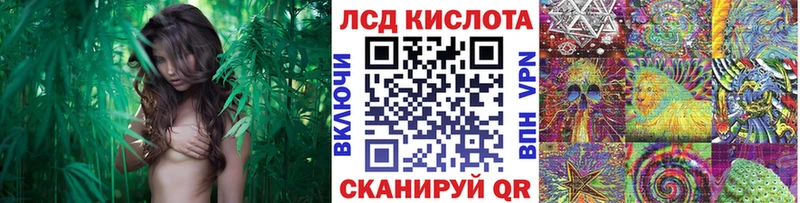 продажа наркотиков  Ленск  Марки 25I-NBOMe 1,5мг 